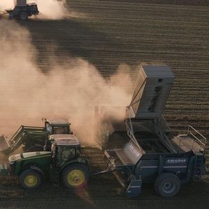 Meet your Posher, Brandi